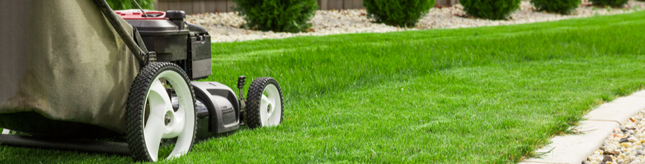 lawn care schedule