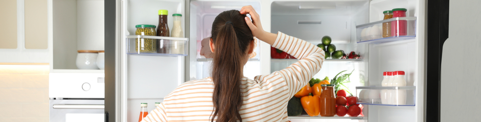 refrigerator maintenance