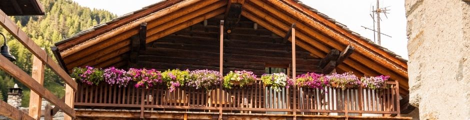 Flowers decorating the exterior of a home