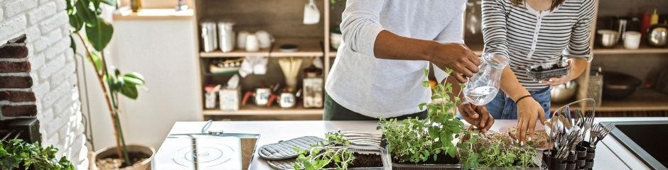 <p>green home tips<\/p>