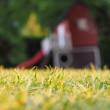 Close-up of green grass with a blurred kid's playset in the background