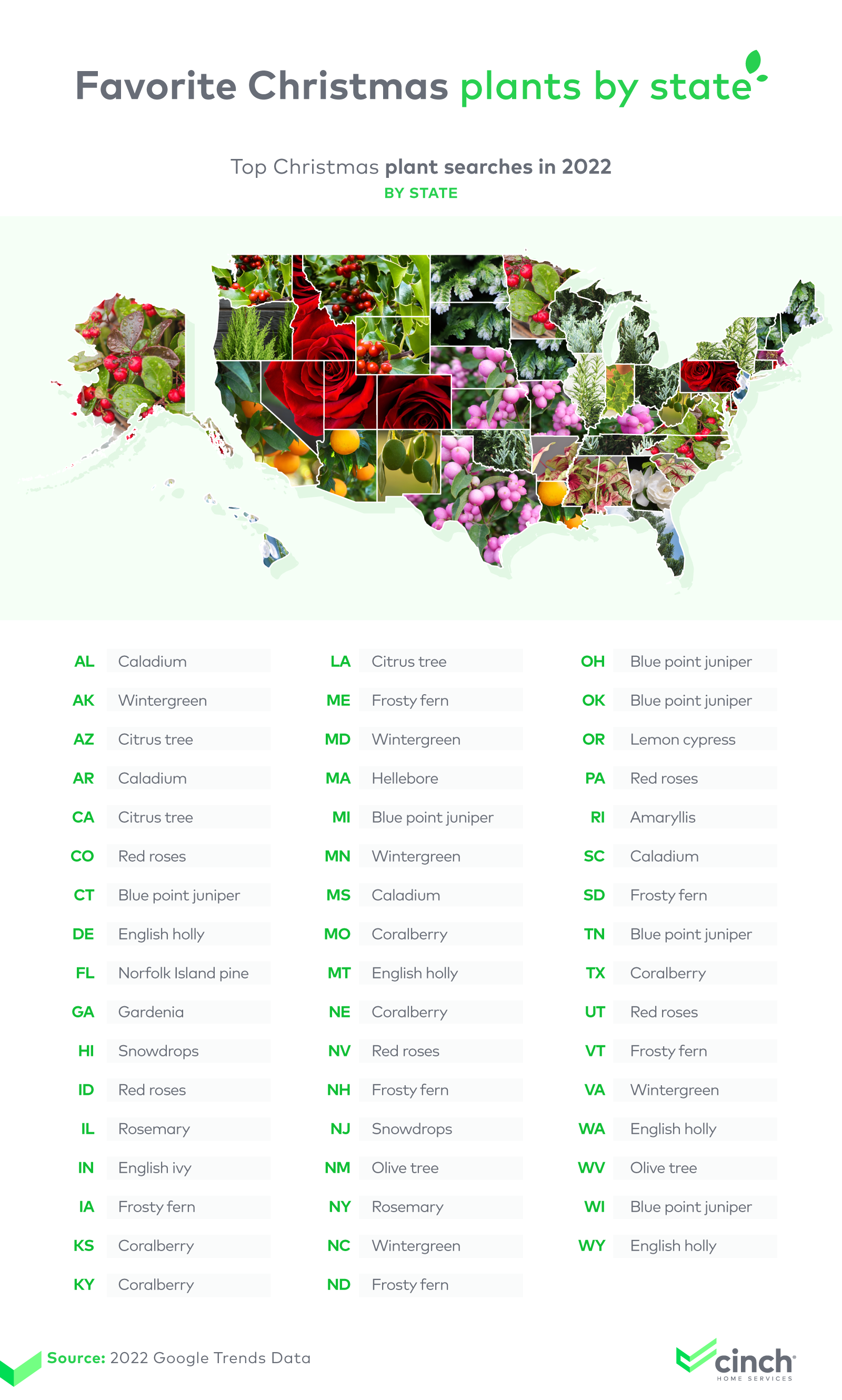 Favorite Christmas plants by state