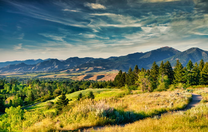 MONTANA 1