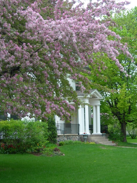 North Dakota tree and home with a home warranty