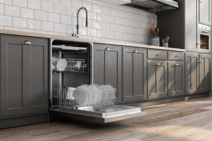 Open Dishwasher-1