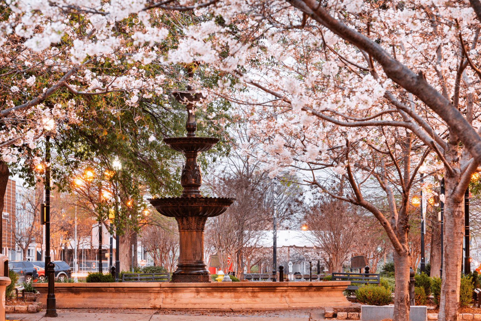 Home warranty in Georgia - view of a colorful park