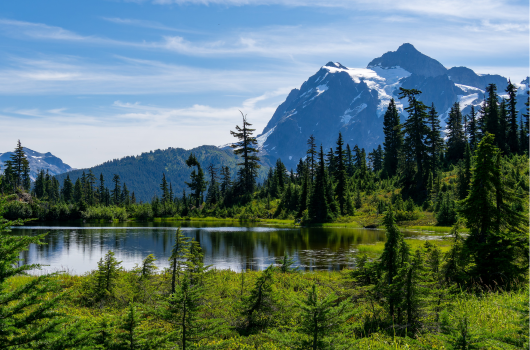 Washington State nature scenery