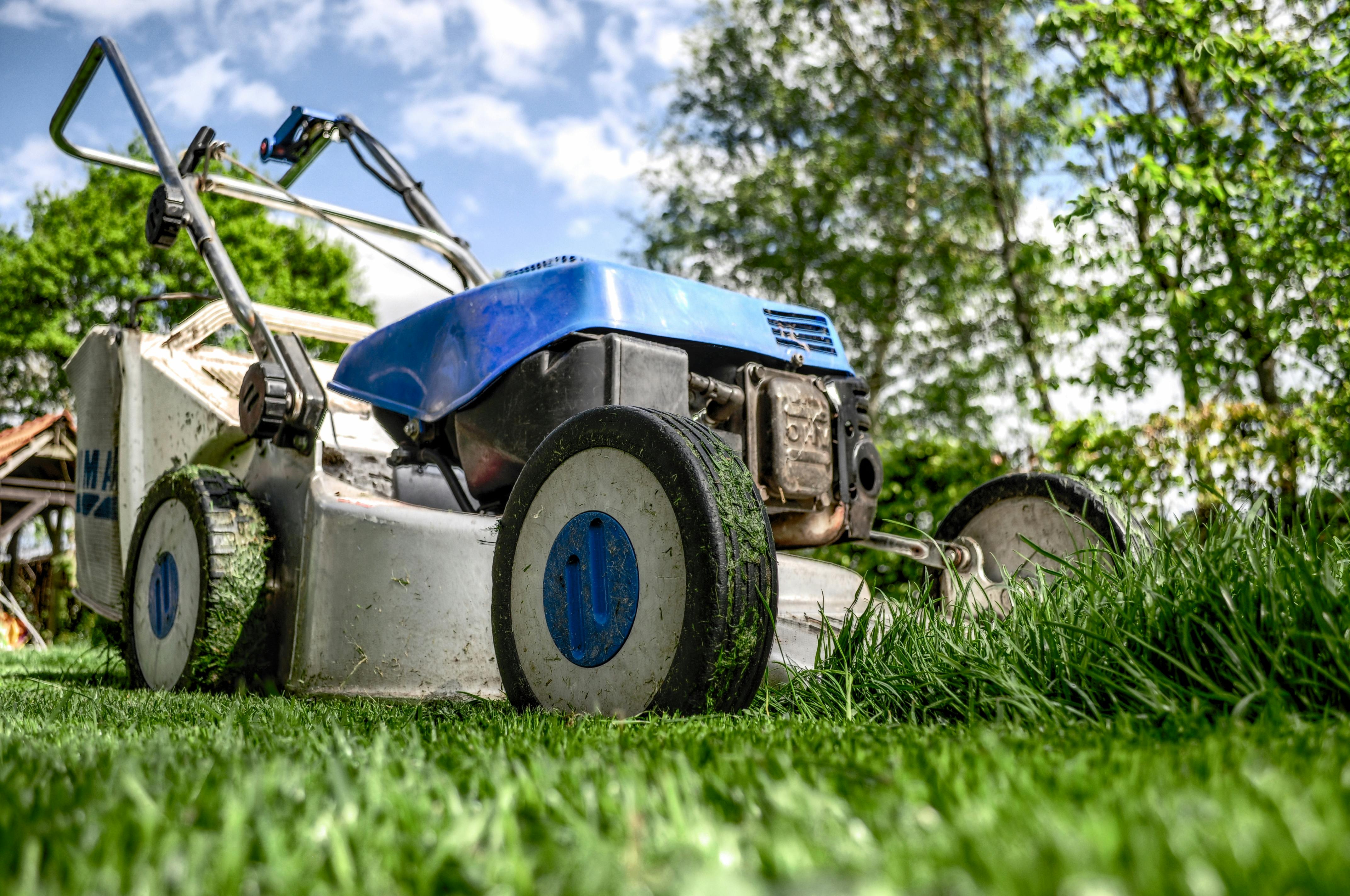 lawnmower on the grass