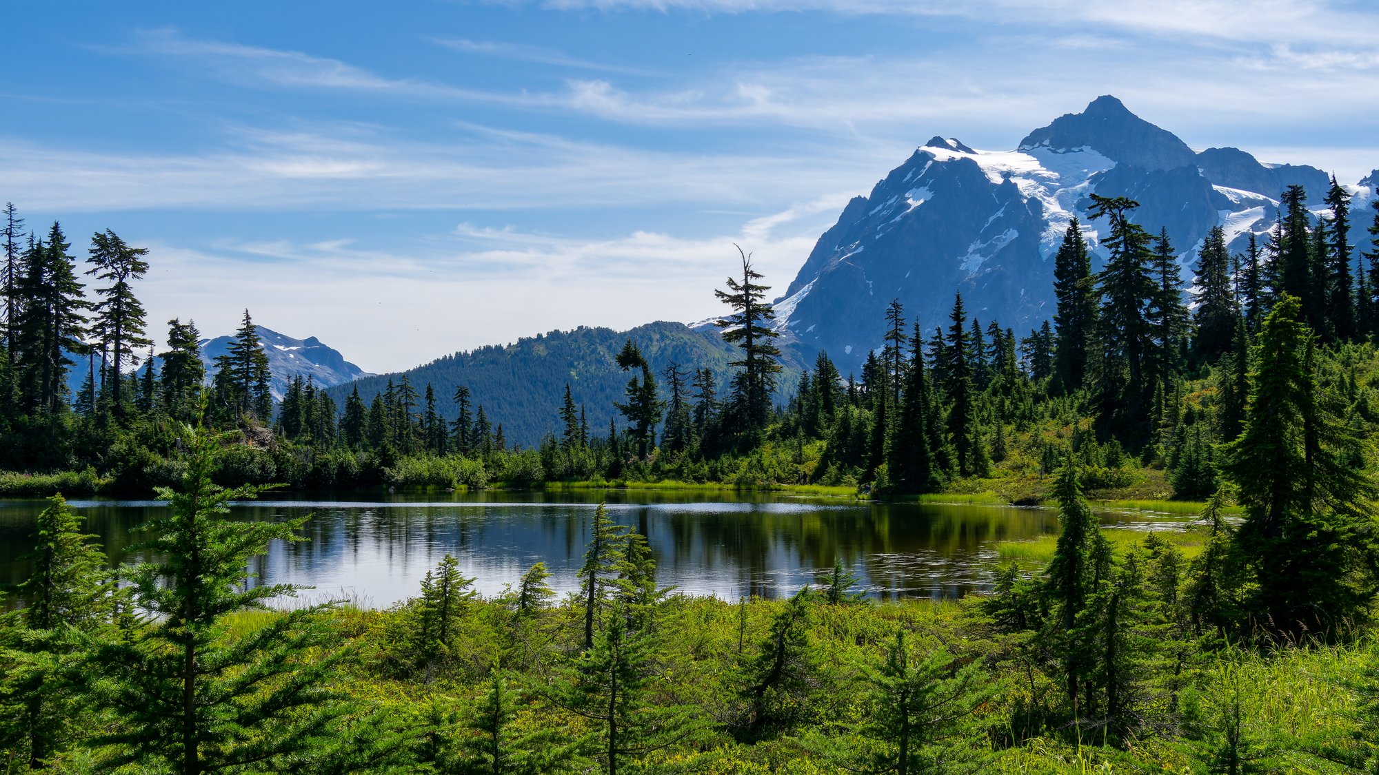 shutterstock_2505058207 (1)